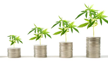 Trends Redefining Horticultural Innovation